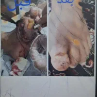 تندرست بمانید