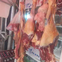 نیروی کاری برای قصابی وکبابی