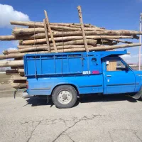 خرید چوب سقفی،سالم پوسیده،راجی12هزار