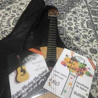 گیتار حرفه ای