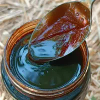 رب انار ساوه عمده|عمدهفروشی|اسلامشهر, شهرک امام حسین (میان آباد)|دیوار