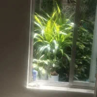 فروش ومعاوضه ویلایی سه خوابه ۲۴۵ متر اتوبان خرازی|فروش خانه و ویلا|اصفهان, آفاران|دیوار
