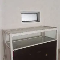 دوچرخه و رگال جوراب و سبزی خردکن و ویترین و سینی|دوچرخه، اسکیت، اسکوتر|آباده, |دیوار