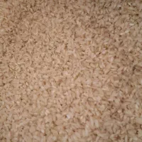 برنج کامفیروزی