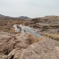 فروش ۶۰۰ متری در پردیسان|فروش دفتر صنعتی، کشاورزی، تجاری|قم, پردیسان|دیوار