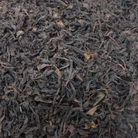 چای ارگانیک بهاره لاهیجان