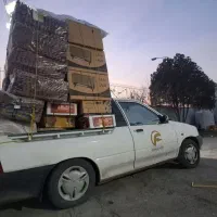 راننده پخش
