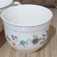 فنجان آرکوپال
