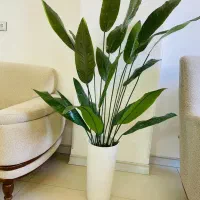 گل پرنده بهشتی