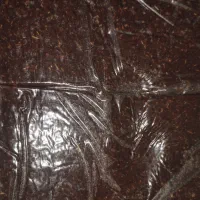 کشمش چرخ شده