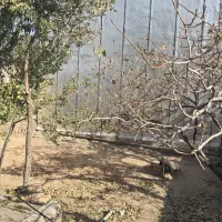 منزل مسکونی ویلایی بویین زهرا|فروش خانه و ویلا|بوئین زهرا, |دیوار