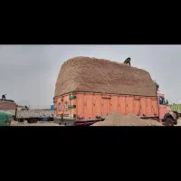 کاه نیشکر|لوازم جانبی حیوانات|ری, سیزده آبان|دیوار