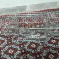 قفس (تله) سهره