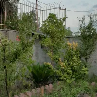 زمین ۳۴۰متر دور دیوار شده در منطقه ای آروم|فروش زمین و ملک کلنگی|رشت, آب آسیاب|دیوار