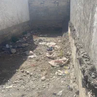 نارجو پشت چهار دیواری لب خیابون بیست متری