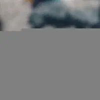 فروش کاه لوبیارچیتی