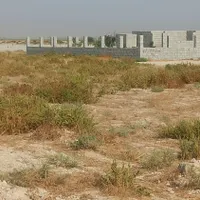 فروش زمین باغ ۴۸۰ متری سند تک برگ|فروش زمین و ملک کلنگی|برازجان, |دیوار