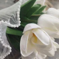 خانه عقد ملودی|خدمات پذیرایی، مراسم|سنندج, |دیوار