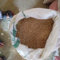 جو گندم. خوراک یونجه