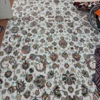 چهار عدد فرش ۶ متری ۷۰۰ شانه و ۶ پشتی|فرش|مریوان, |دیوار