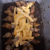 حلزون آماده تخم + مشاوره رایگان|حیوانات مزرعه|قم, زنبیل آباد|دیوار