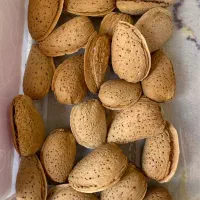 فروش بادام نیمه کاغذی