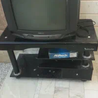 تلویزیون