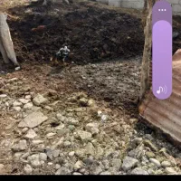 فروش خاک باغچه کود حیوانی خاک برگ....|خدمات باغبانی و درختکاری|چاف و چمخاله, |دیوار