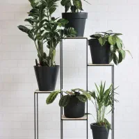 تولید و فروش استند گل مدرن و مقاوم برند شاخه