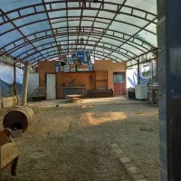 پیش ۵۰ میلیون و اجاره ماهیانه ۶میلیون