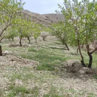 باغ۲۴۰۰متری