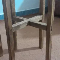 استند گل چوبی|گل و گیاه طبیعی|اهواز, سپیدار|دیوار