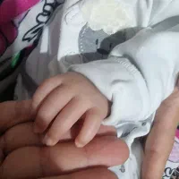 شیردوش برقی