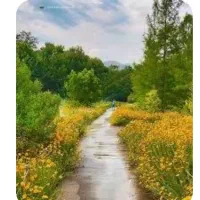 نیازمند راهنمایی