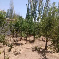 روستای-توریستی-کشه-از-توابع-نطنز