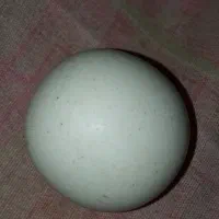 الماس اسیاب|کلکسیون اشیاء عتیقه|بندر گناوه, |دیوار