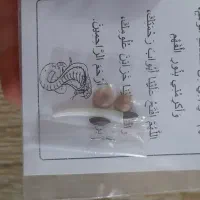 مهره اصل باتخفیف ۸۰۰هزار|بدلیجات|کاشان, امیرکبیر|دیوار