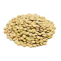 عدس ممتازی بوجاری شده روسیه