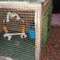 قفس  بندر خمیر