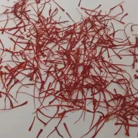 زعفران خالص از کاشت تا برداشت مال خودمونه|خوردنی و آشامیدنی|گنبد کاووس, |دیوار