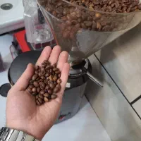 فروش و پخش قهوه