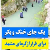 تور یک روزه