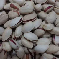 پسته خشک|خوردنی و آشامیدنی|قم, حاج زینل|دیوار