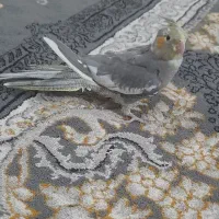 عروس هلندی|پرنده|رادکان, |دیوار