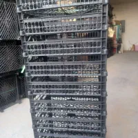 سبد انار|ظروف نگهدارنده، پلاستیکی، یکبارمصرف|کوهنانی, |دیوار