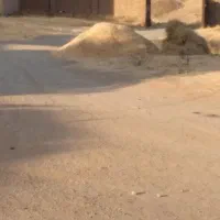 علف