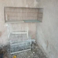 تعدادی قفس برای فروش|لوازم جانبی حیوانات|شیراز, حومه شیراز|دیوار