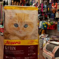 غذا خشک اورجینال،