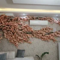 شکوفه دیواری