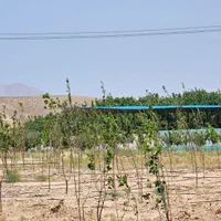 بورس زمین دوردیوارباغچه باغ/شهرکی/سنددار/چکی/تهاتر|فروش خانه و ویلا|مشهد, احمدآباد|دیوار